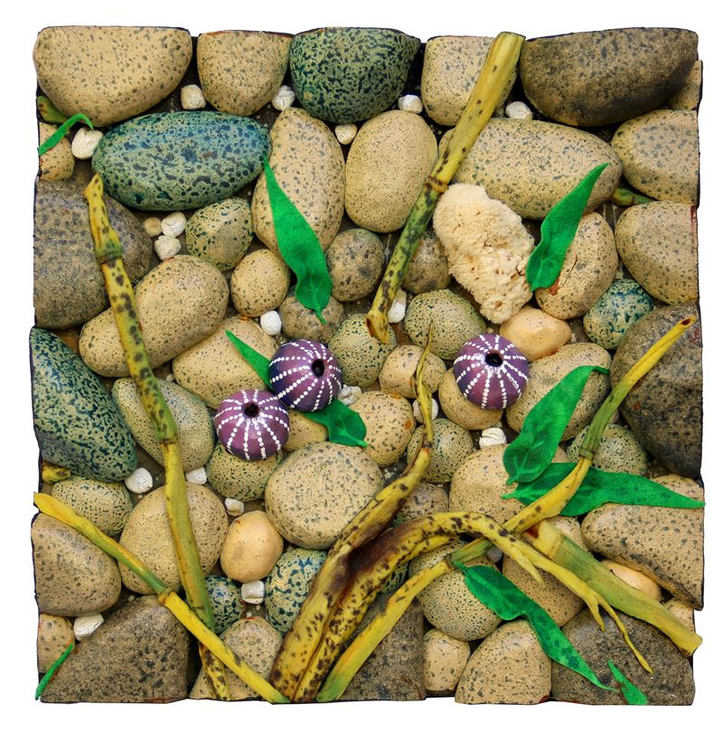 Spiaggia con ricci di mare