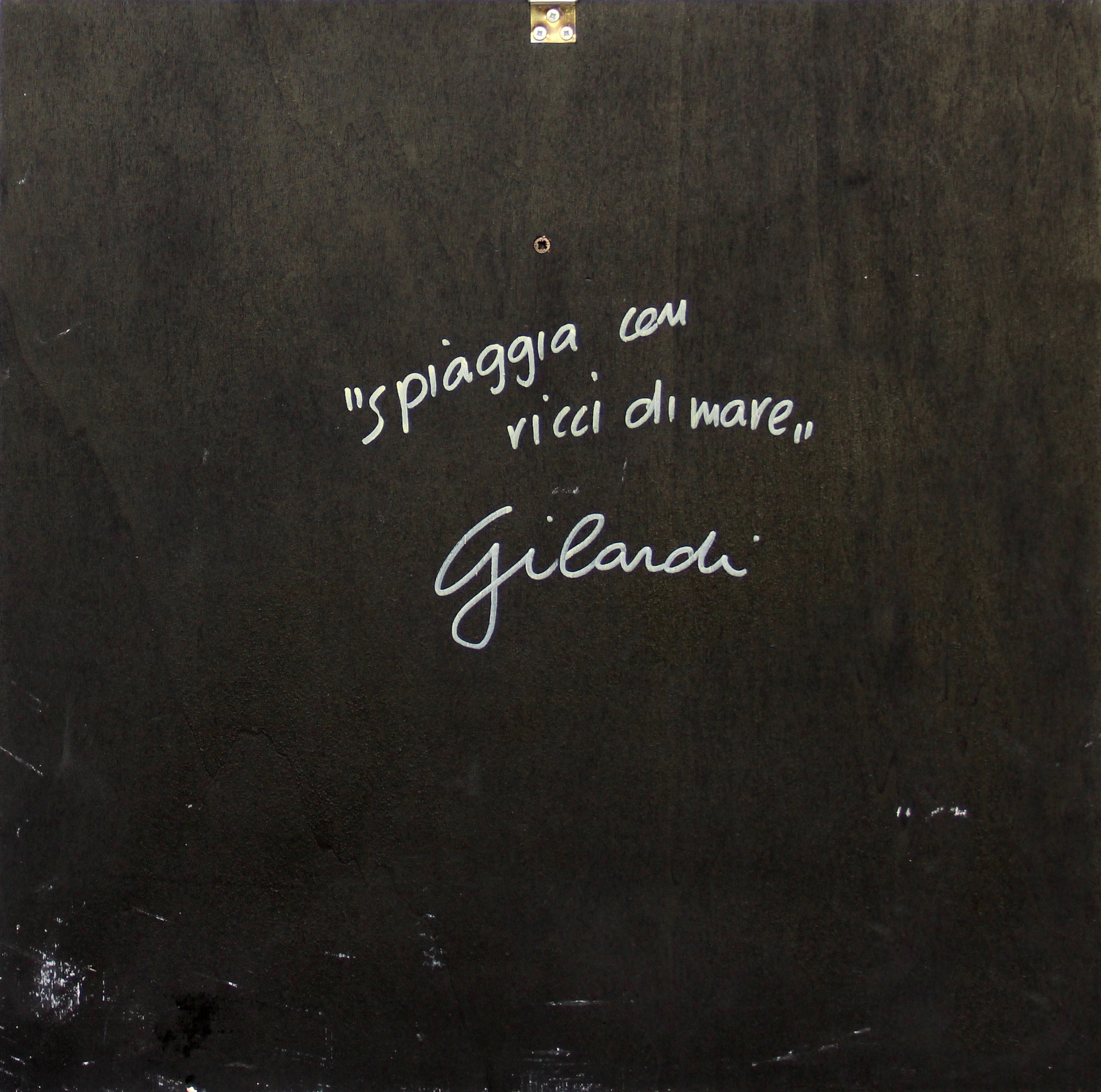 Spiaggia con ricci di mare