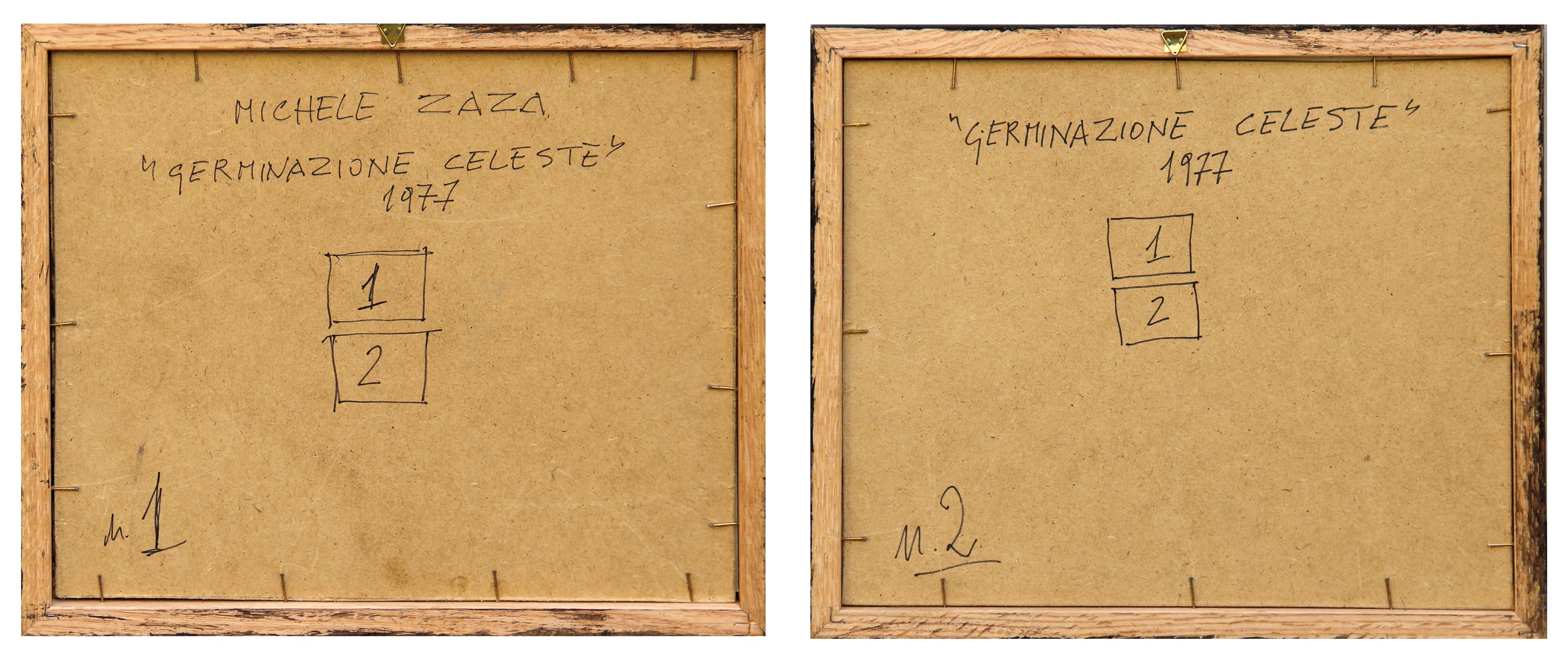 Germinazione celeste