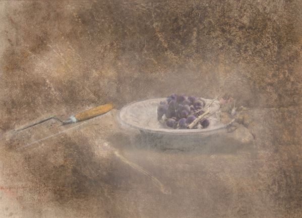 Piero VIGNOZZI - Scodella con uva nera
