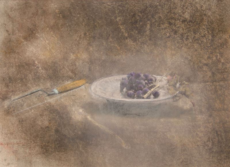 Scodella con uva nera