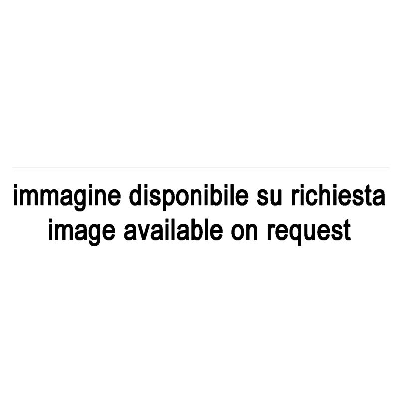 Pino Pinelli - Pittura BL. R (tecnica mista, 2010)